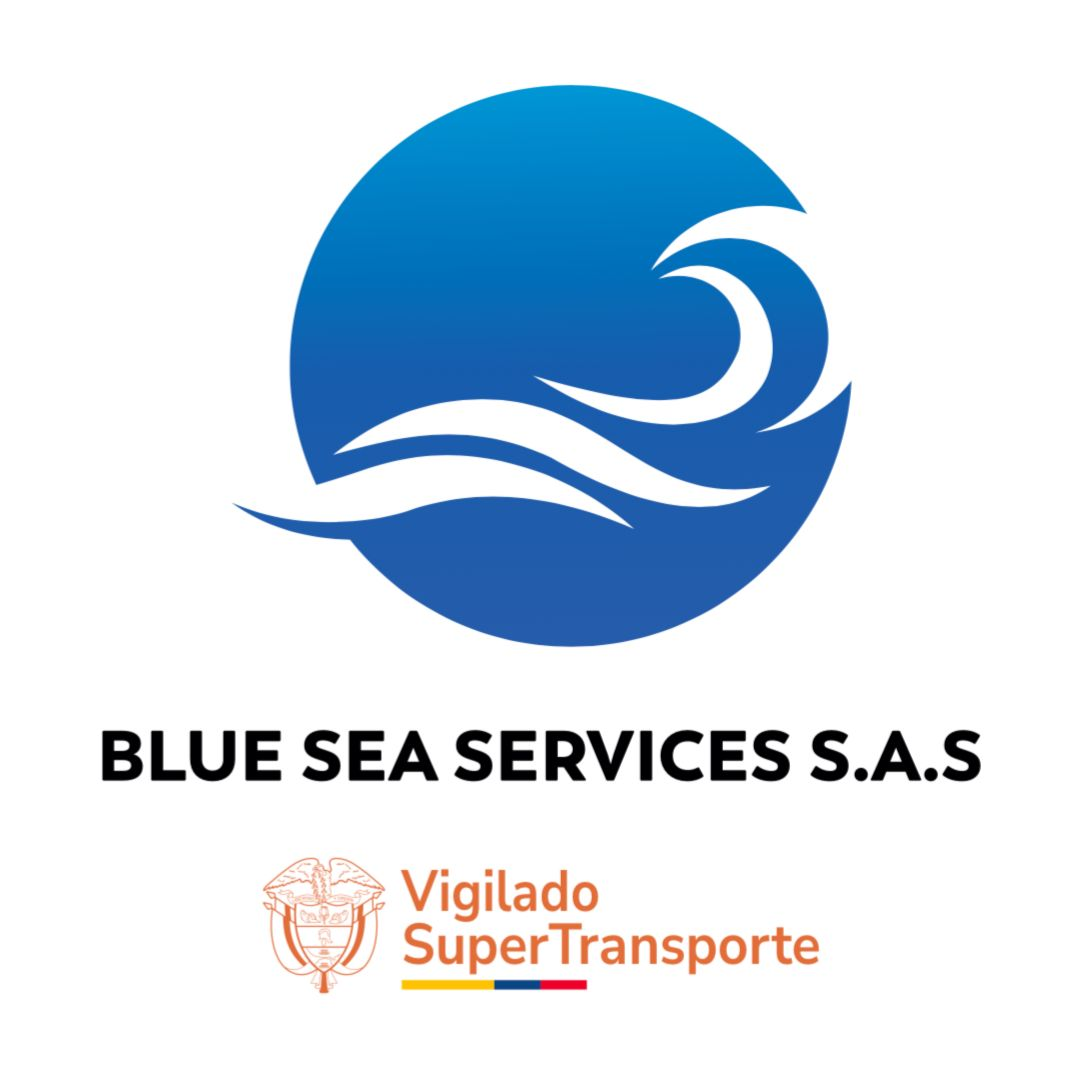 BSS Academy Logo